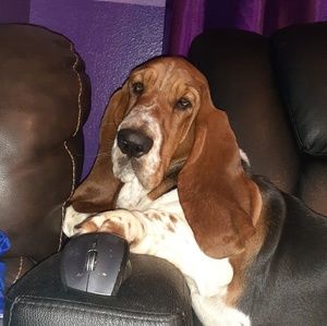 Meet your Posher, Ben